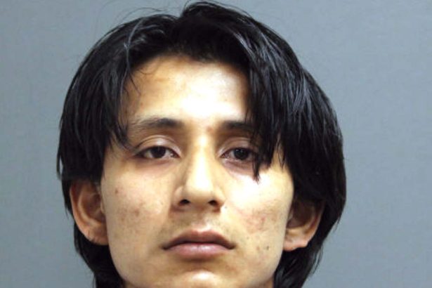 Man sentenced to 9 years for random stabbing of woman, 71, outside Union Station