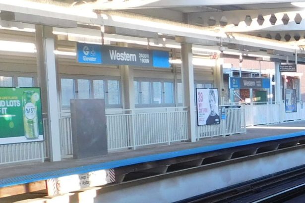 Man stabbed at Blue Line station in Logan Square