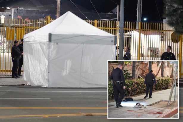 Man who died after allegedly cutting off penis in LA identified