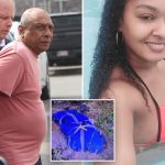 Maniac husband who hid much younger wife’s hacked-up remains in NYC busted when phone gave him away: DA