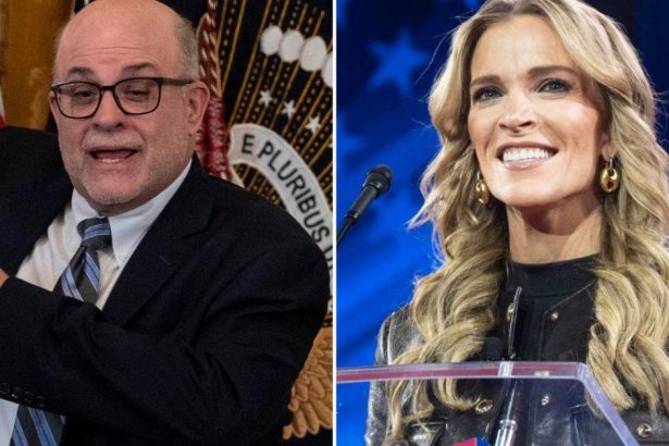 Megyn Kelly Calls Out Mark Levin’s Manhood In Ugly Online Feud