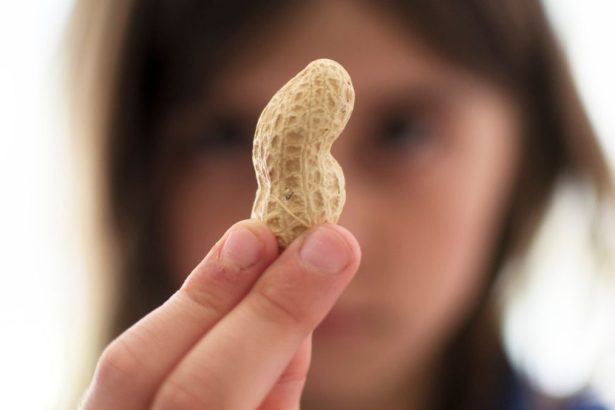Microbes That ‘Disarm’ Peanut Allergy Proteins Discovered in Mouth And Gut : ScienceAlert