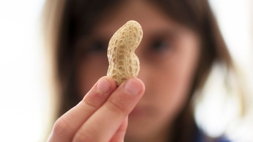 Microbes That ‘Disarm’ Peanut Allergy Proteins Discovered in Mouth And Gut : ScienceAlert