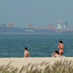 Middle East conflict strands ships with cargoes of fresh food and live animals