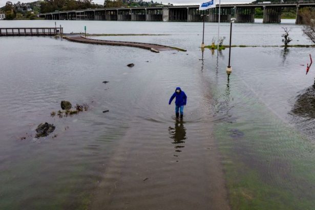 Millions more people are in the path of rising seas than previously thought : NPR