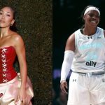 “More evidence” – Mariah Rose Calls For Arike Ogunbowale Video as She Pins Wings Star’s Club Punch Incident on Men’s ‘Negative Interaction’