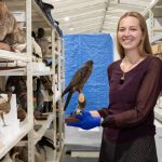 Museum to reveal hidden treasures