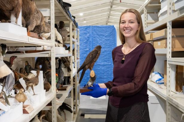 Museum to reveal hidden treasures