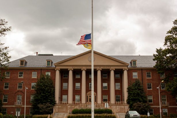 NIH grant awards, mental health at work: Morning Rounds