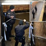 NYC transit crime spiked nearly 20% as subway ejections paused due to extreme cold: NYPD