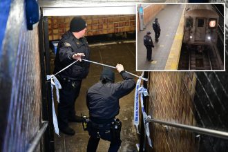 NYC transit crime spiked nearly 20% as subway ejections paused due to extreme cold: NYPD