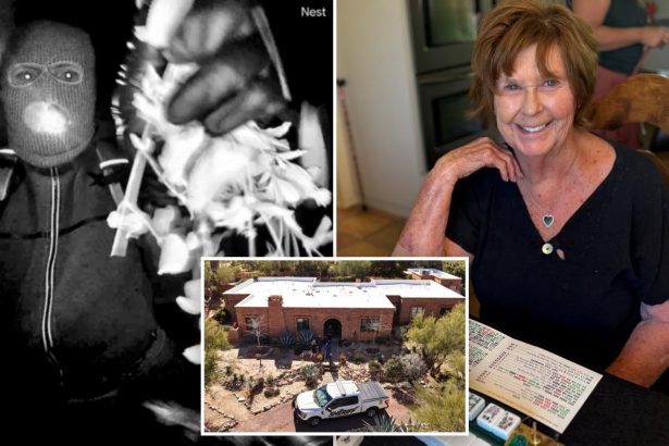 Nancy Guthrie abductor likely had as many as four accomplices, retired Pima county detective says