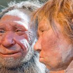 Neanderthal DNA Is Missing From Our X Chromosome. This Could Be Why. : ScienceAlert