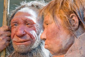 Neanderthal DNA Is Missing From Our X Chromosome. This Could Be Why. : ScienceAlert