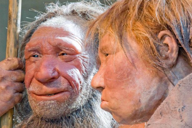 Neanderthal DNA Is Missing From Our X Chromosome. This Could Be Why. : ScienceAlert