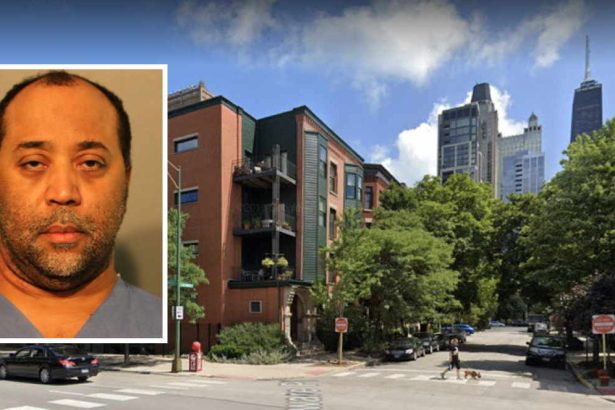 Near North Side man who killed mother, drove body downstate gets 20-year sentence