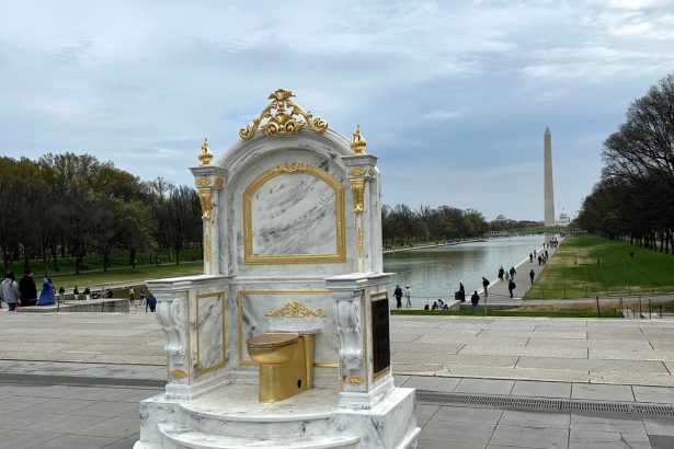 New Protest Art Lampoons Trump’s Gaudy Bathroom Redesign