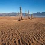 New dirt on a source of antibiotic resistance : NPR