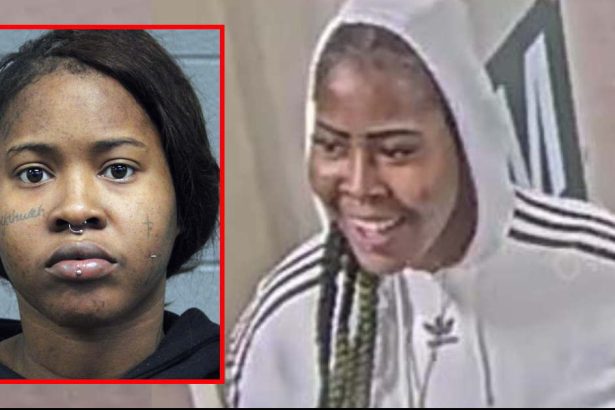 Not smiling now: Woman charged with violent robbery aboard CTA train in River North