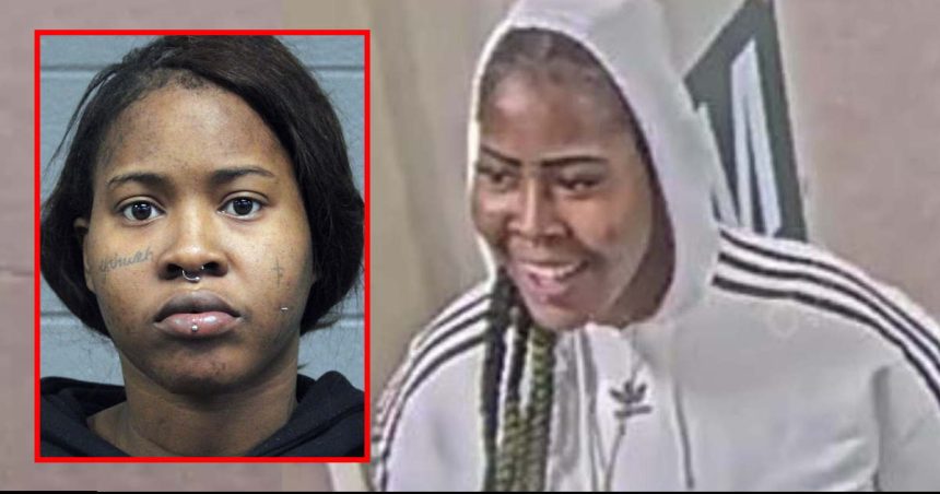 Not smiling now: Woman charged with violent robbery aboard CTA train in River North