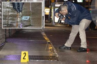 Off-duty NYPD cop shoots man in the head after tracking his wife’s stolen car: sources