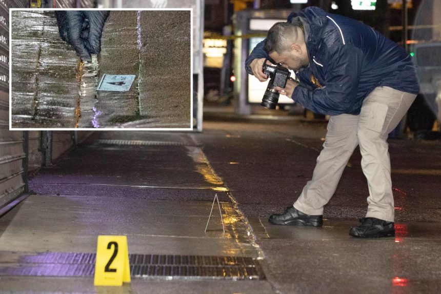 Off-duty NYPD cop shoots man in the head after tracking his wife’s stolen car: sources