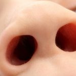 One Nostril Is More Dominant Than The Other. Here’s Why. : ScienceAlert