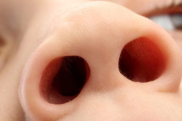 One Nostril Is More Dominant Than The Other. Here’s Why. : ScienceAlert