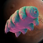 One Simple Trick Could Help Tardigrades Survive in Martian Dirt : ScienceAlert