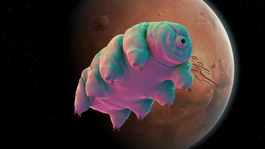 One Simple Trick Could Help Tardigrades Survive in Martian Dirt : ScienceAlert