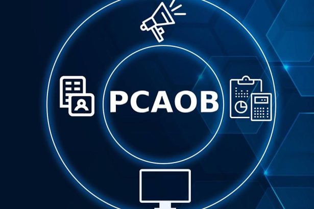 PCAOB launches audit practitioner fellowship programme