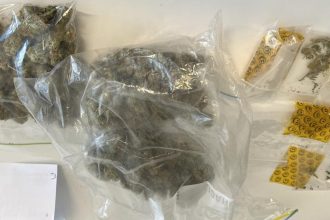 Pair arrested in Southland drug bust