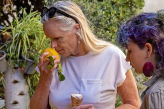 Parkinson’s disease may reduce enjoyment of pleasant smells
