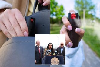 Pepper spray would be easier to get under NY bill