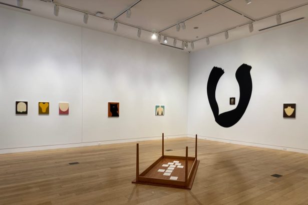 Plan to Close DePaul Art Museum Faces Community Backlash