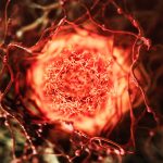 Popular Anti-Aging Supplement May Fuel Cancer Growth – Here’s Why : ScienceAlert