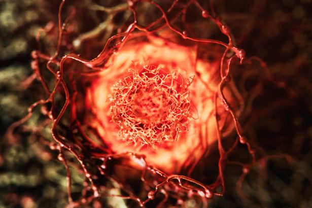 Popular Anti-Aging Supplement May Fuel Cancer Growth – Here’s Why : ScienceAlert