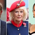 Prince Harry Responds to Claim Camilla Called Him Brainwashed
