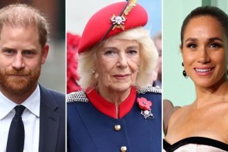 Prince Harry Responds to Claim Camilla Called Him Brainwashed