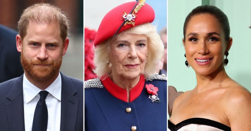 Prince Harry Responds to Claim Camilla Called Him Brainwashed
