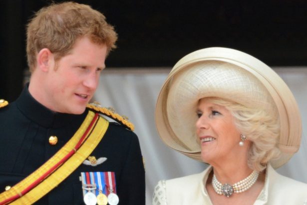 Prince Harry and Queen Camilla’s Relationship Over the Years