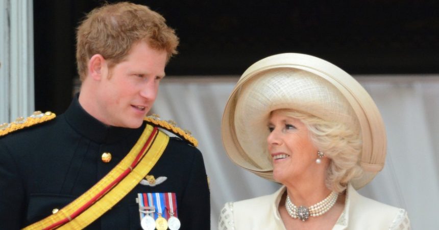 Prince Harry and Queen Camilla’s Relationship Over the Years