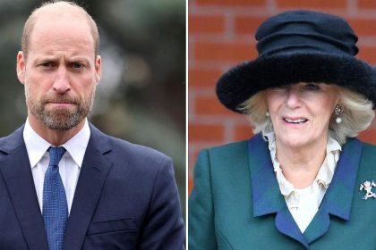 Prince William At War With Queen Camilla Over Poignant Reason