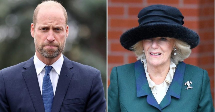 Prince William At War With Queen Camilla Over Poignant Reason