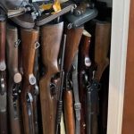 Project to overhaul firearms regulations put on hold