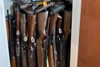 Project to overhaul firearms regulations put on hold