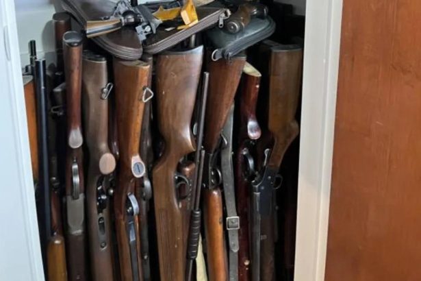 Project to overhaul firearms regulations put on hold