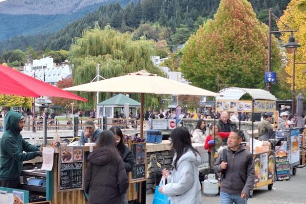 Queenstown lakefront food stalls banned