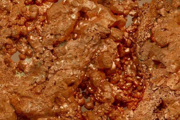 Questcorp Mining completes IP survey at BC’s North Island Copper Project