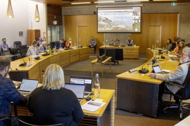 Reducing Selwyn rates rise comes with a cost